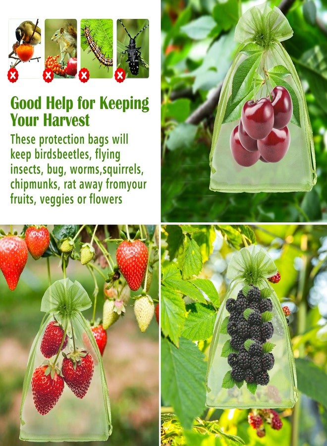 FloraSea 50 PCS 4X6 inches Fruit Protection Bags, Fruit Bags for Fruit Trees, Green Netting Fruit Cover Bags Drawstring Mesh Fruit Protectors Pest Barrier for Fruit Trees Veggies Garden - Image 4